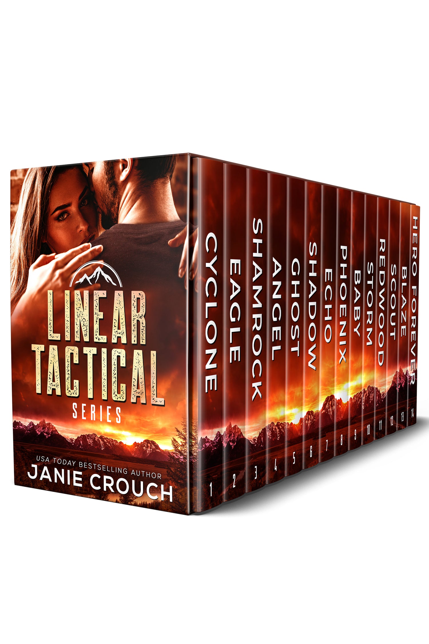 Linear Tactical Ebook Omnibus