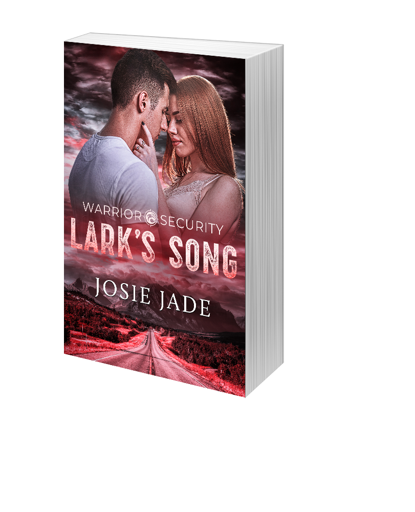 PRE-ORDER: Warrior Security: Lark's Song - Paperback